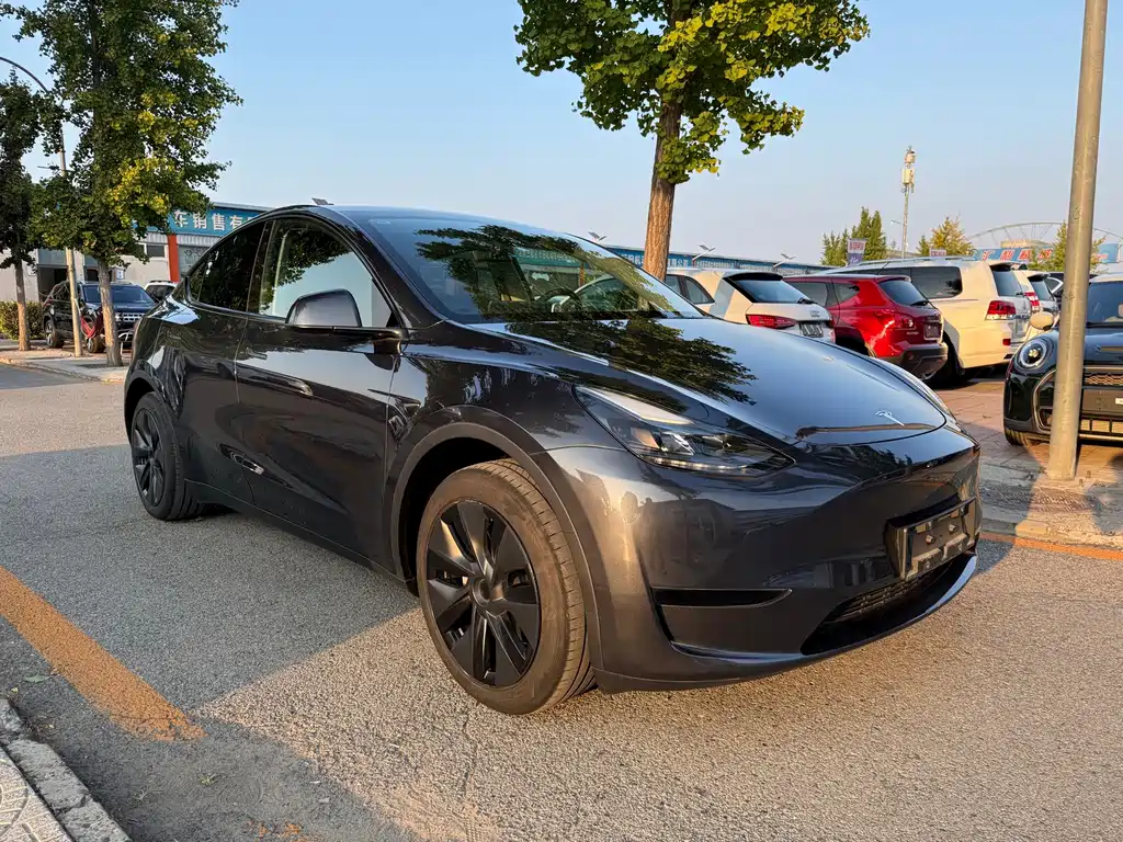 Tesla Model Y — миниатюра 3