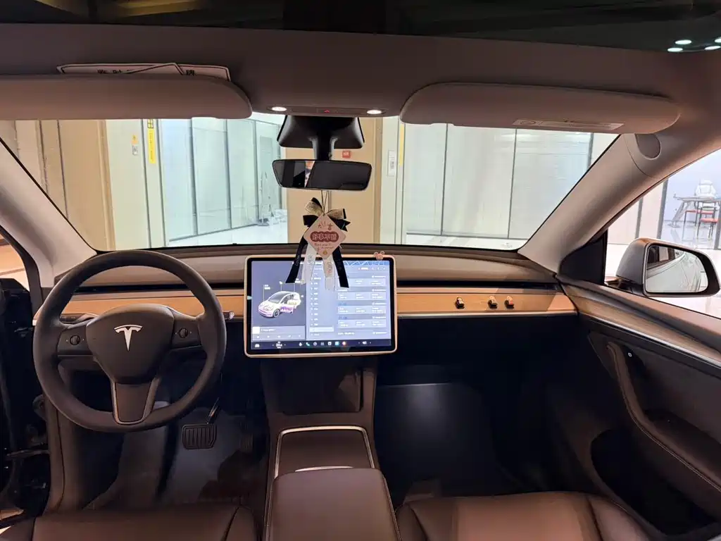 Tesla Model Y — миниатюра 7
