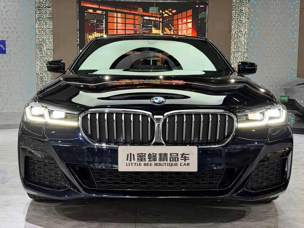 BMW 5 Series — миниатюра 2
