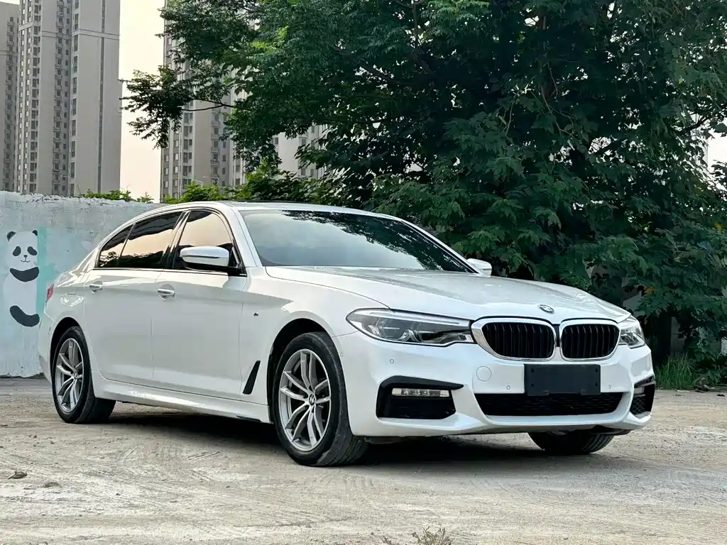 BMW 5 Series New Energy — миниатюра 3