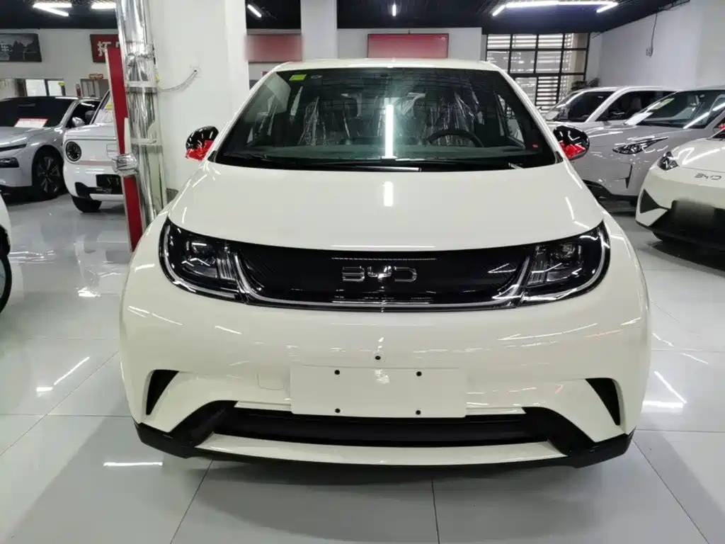 BYD Dolphin — миниатюра 3
