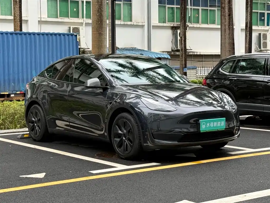 Tesla Model Y — миниатюра 3