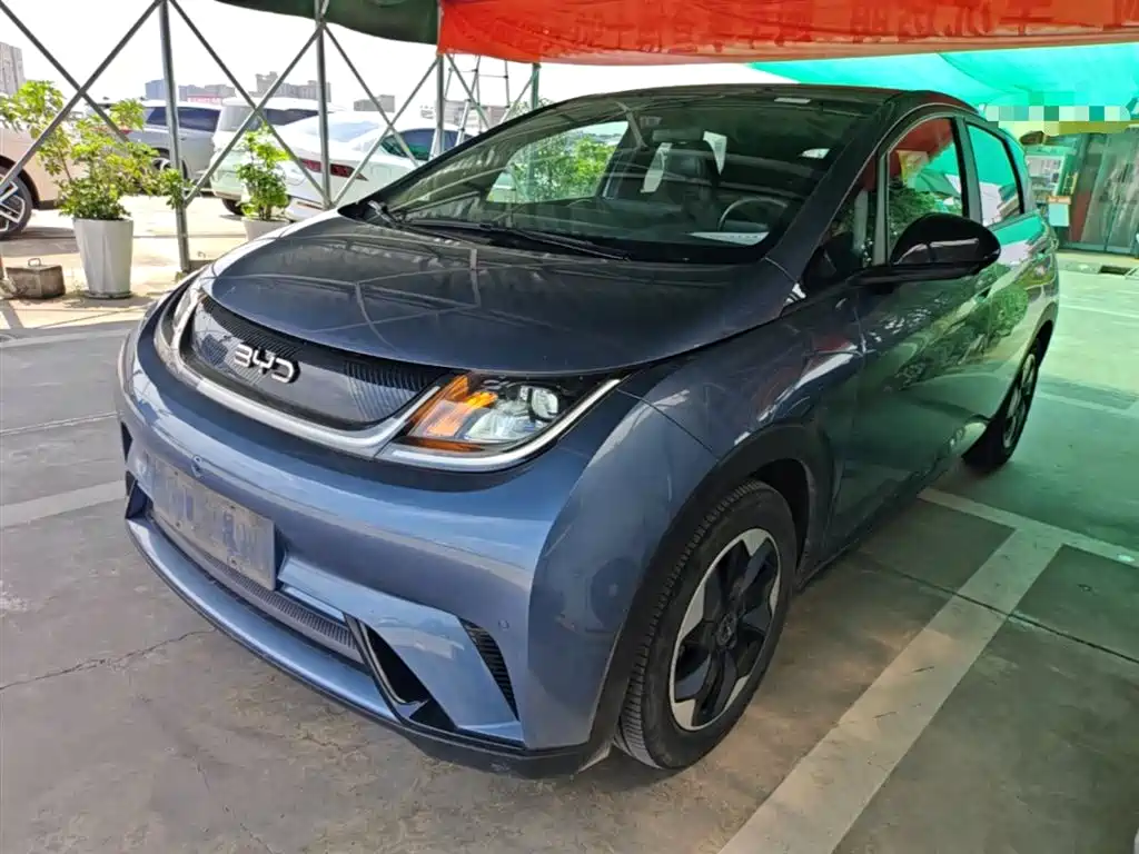 Byd Dolphin 2024