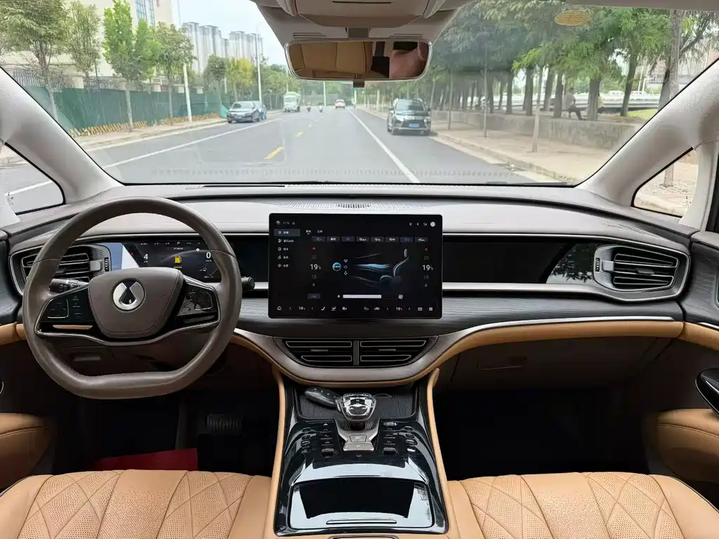 Denza Denza D9 — миниатюра 5