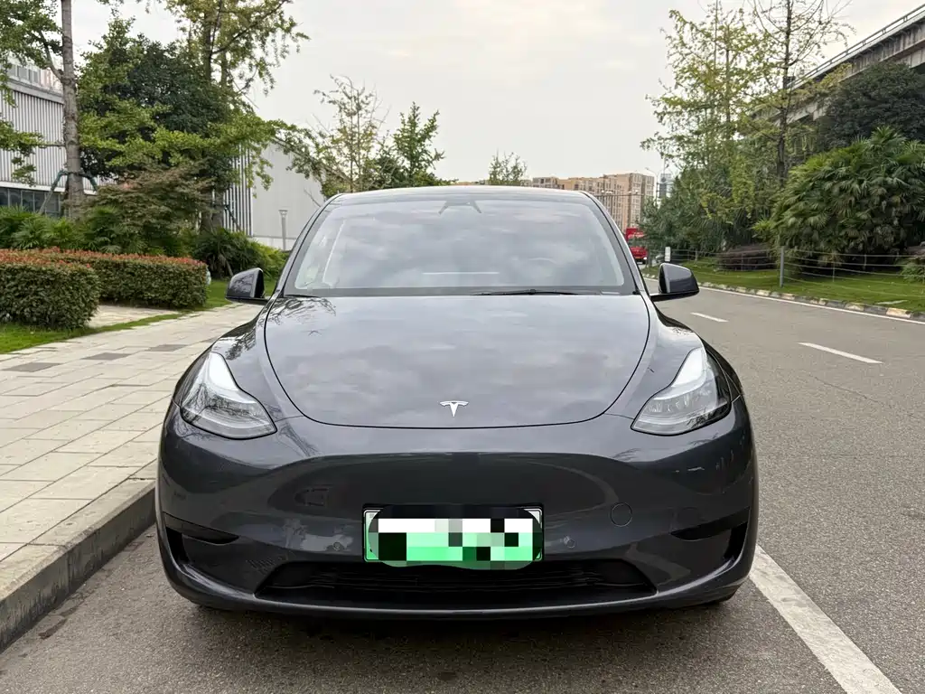 Tesla Model Y — миниатюра 2