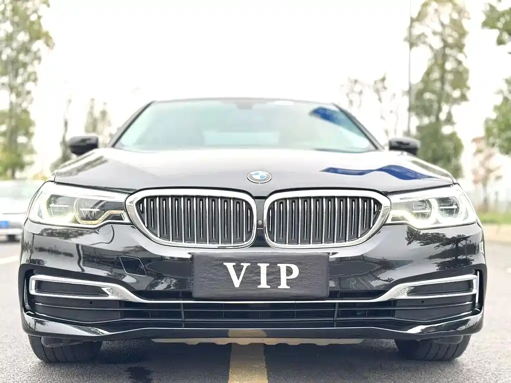 BMW 5 Series 5 2020 530Li Premium Luxury