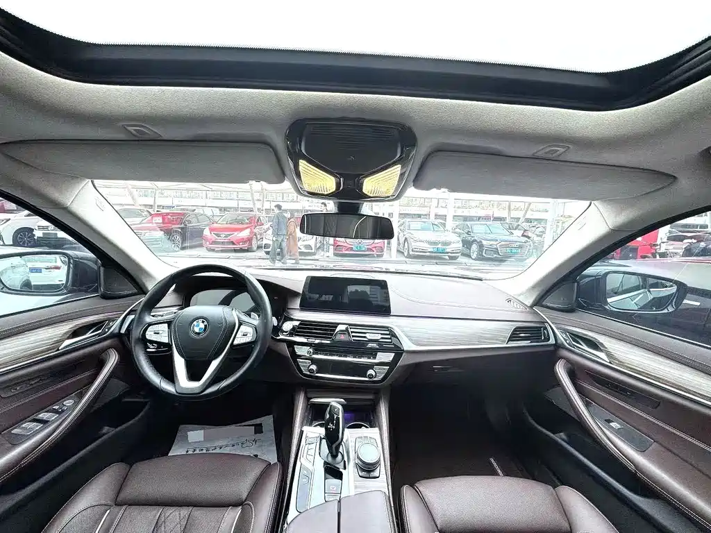 BMW 5 Series 5 2020 530Li Premium Luxury
