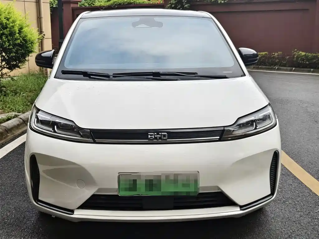 BYD D1 — миниатюра 3