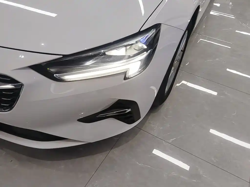 Buick Regal — миниатюра 24