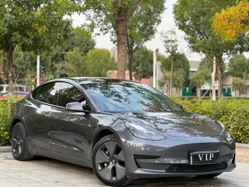 Tesla Model 3 — миниатюра 3