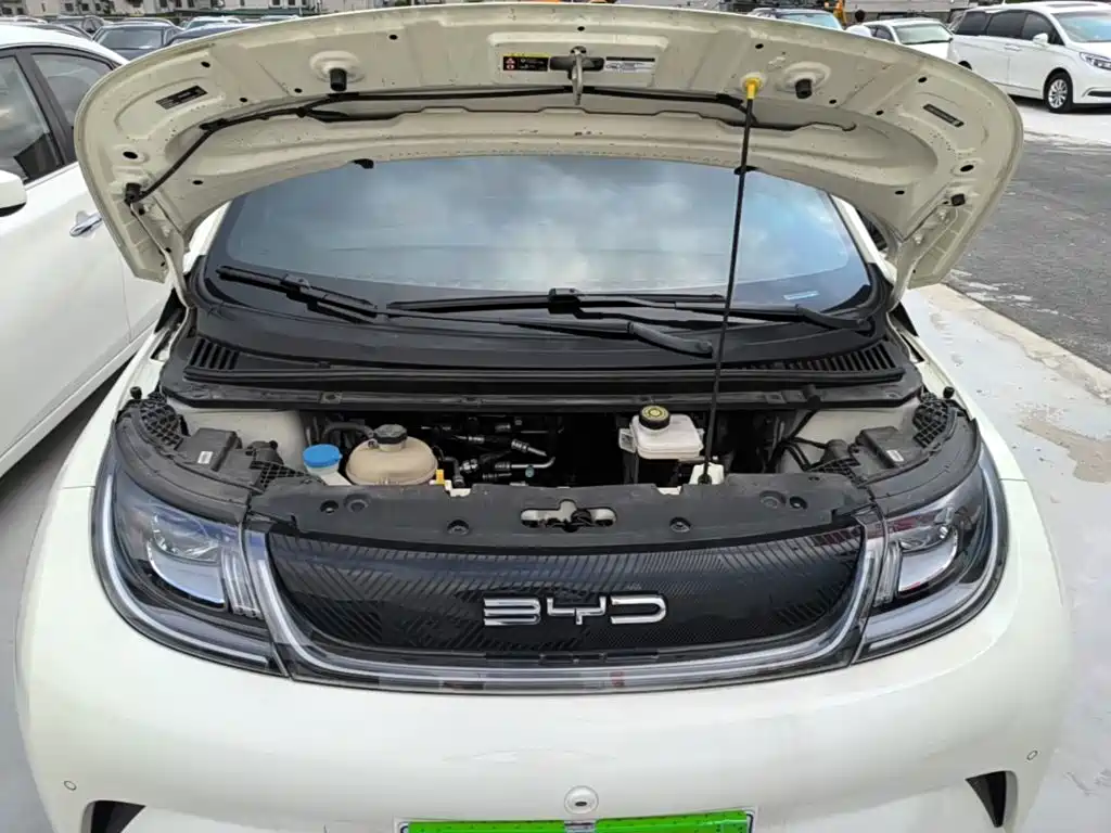 BYD Dolphin — миниатюра 20