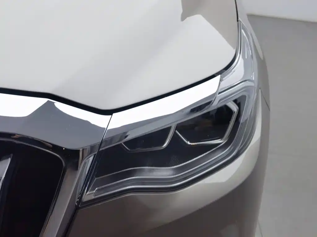 Hongqi HS7 2019 3.0T AT