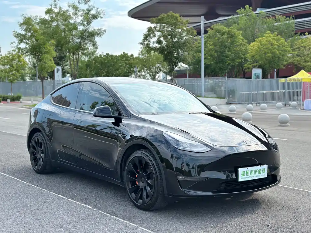 Tesla Model Y — миниатюра 17