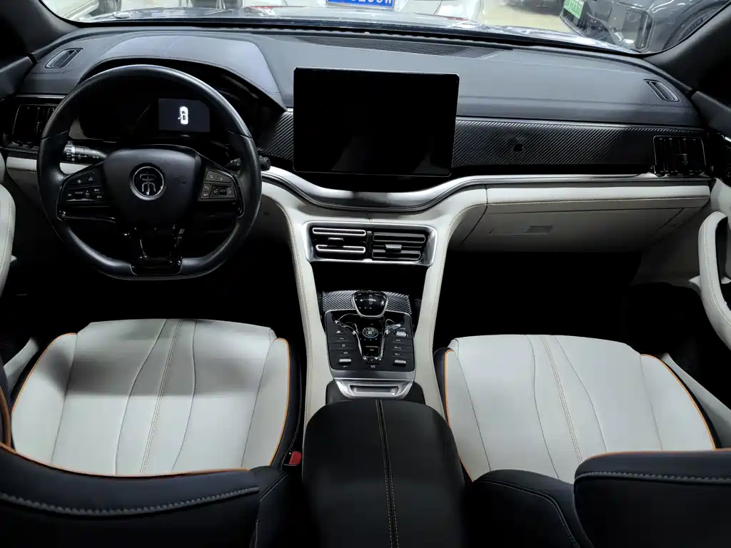 BYD PLUS New Energy — миниатюра 9