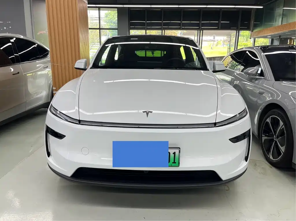 Tesla Model Y — миниатюра 2