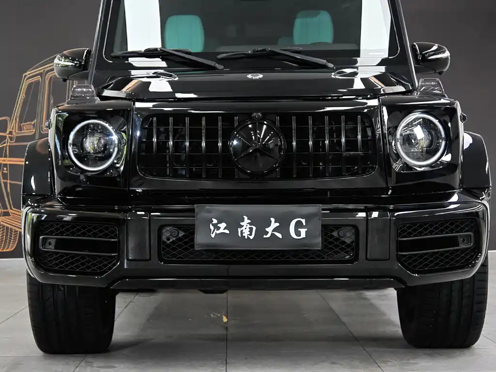 Mercedes-Benz G-Class G 2010 G 500