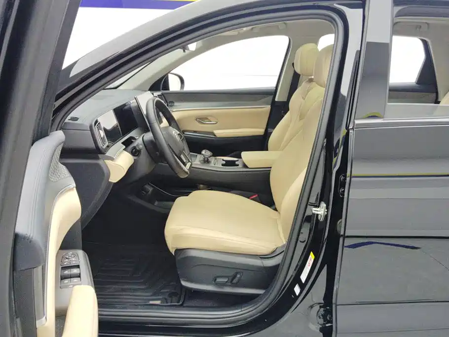BYD Pro New Energy — миниатюра 9