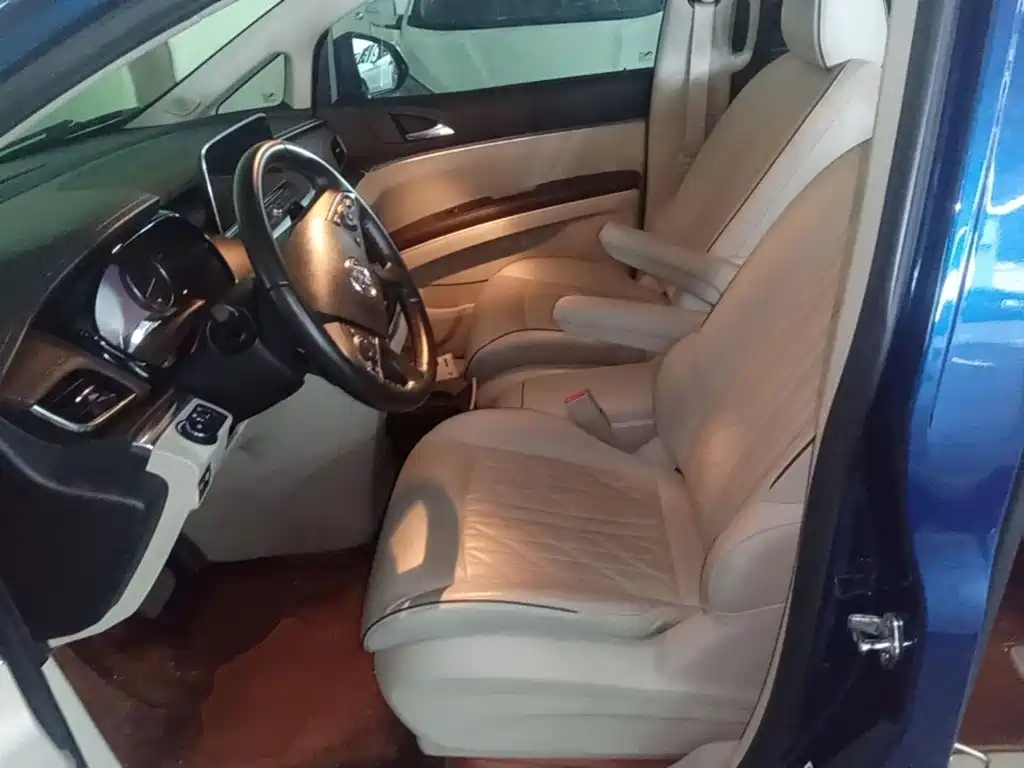 Buick GL8 — миниатюра 15