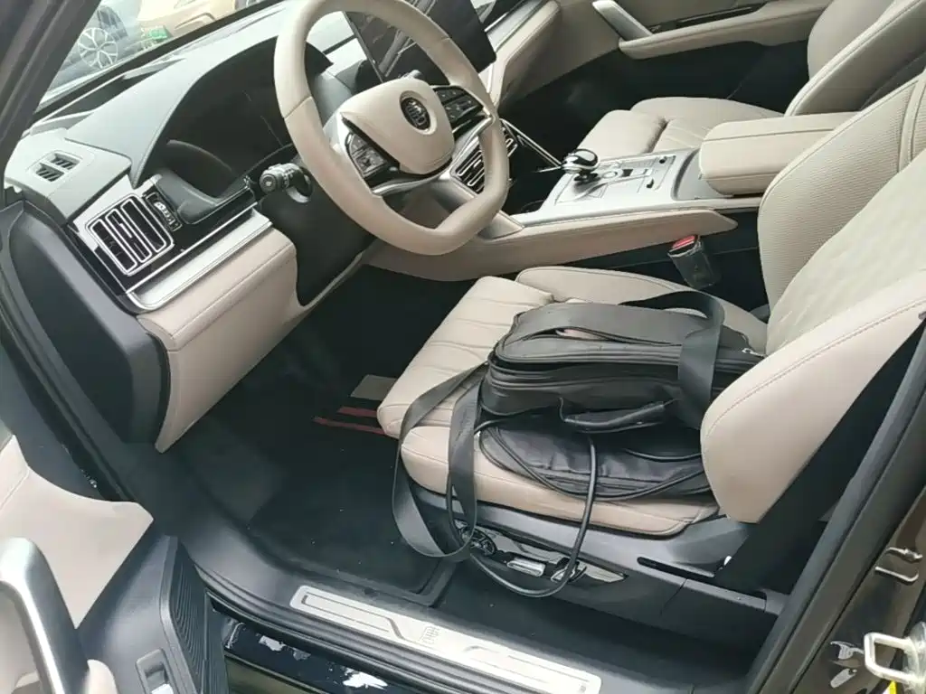 BYD Tang New Energy — миниатюра 15