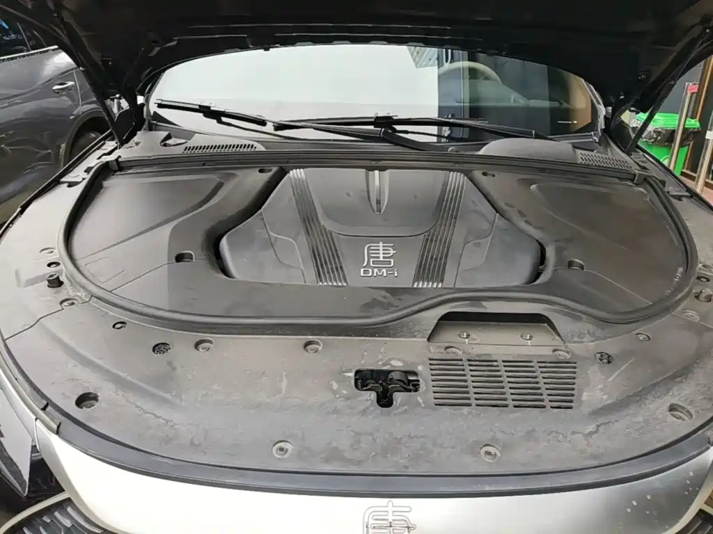 BYD Tang New Energy — миниатюра 20