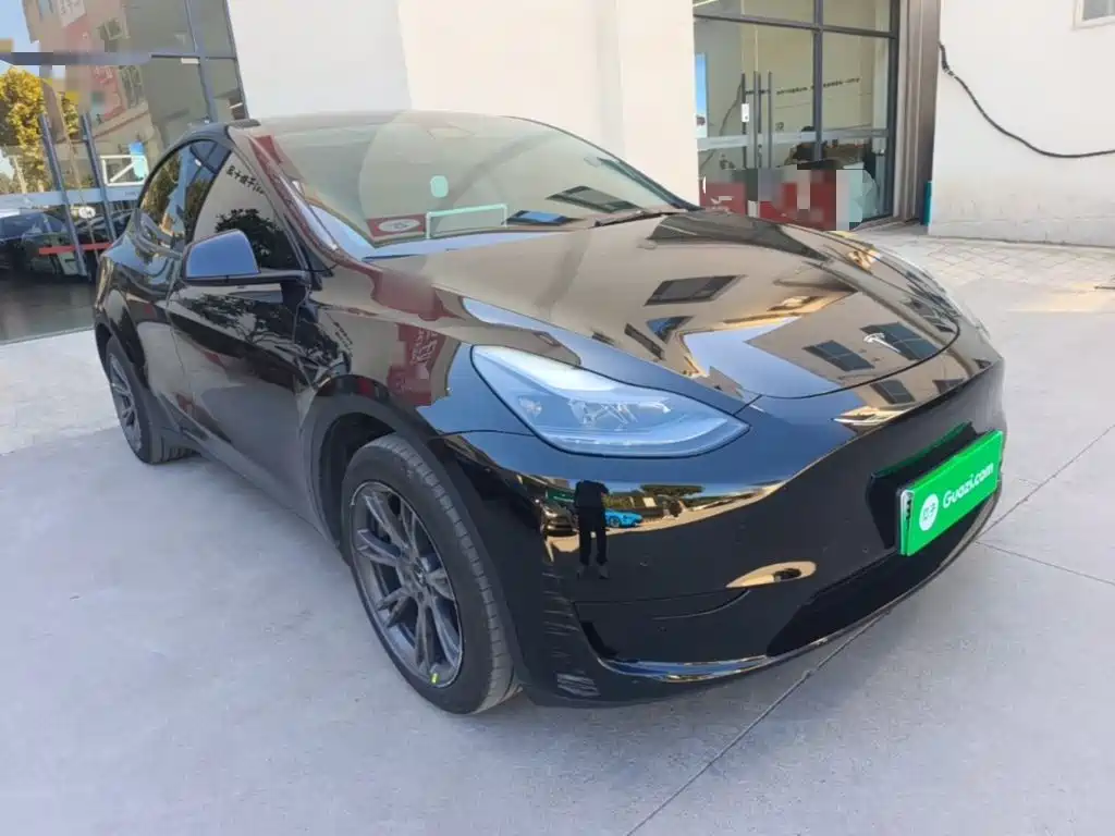 Tesla Model Y — миниатюра 4