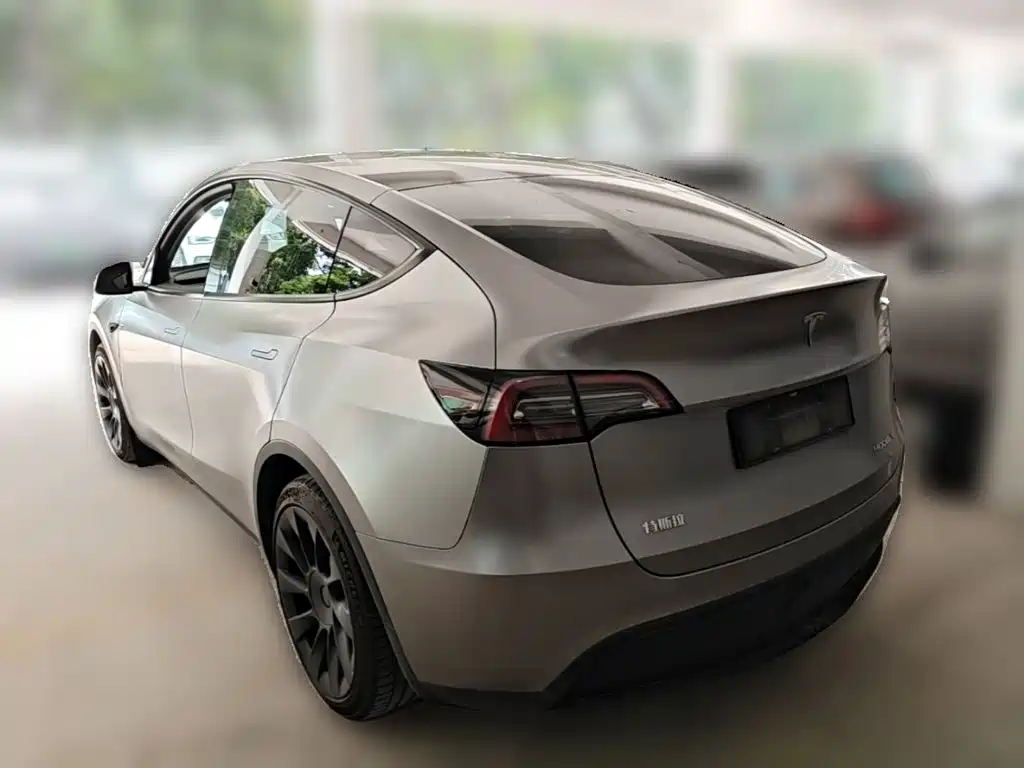 Tesla Model Y — миниатюра 7