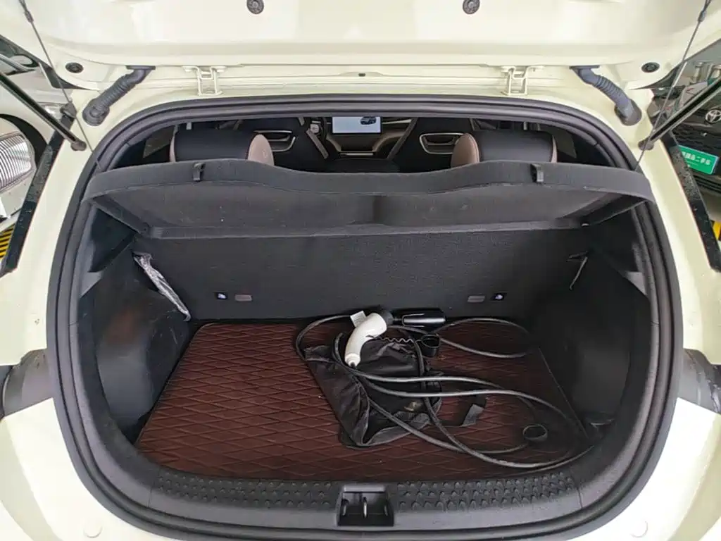 BYD Dolphin — миниатюра 19