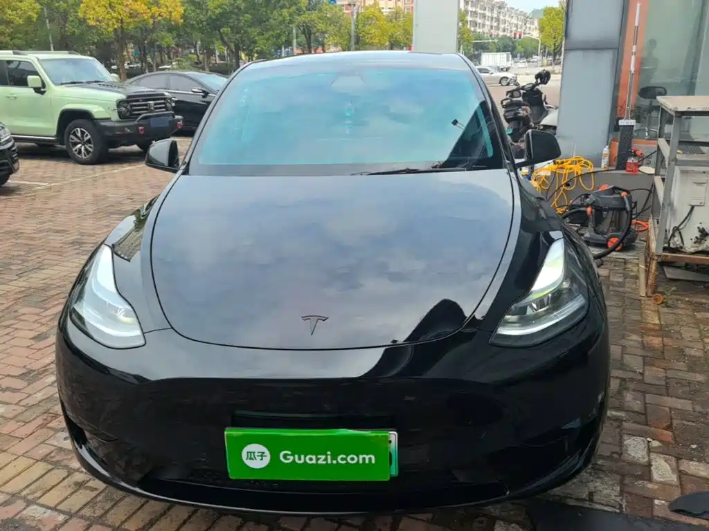Tesla Model Y — миниатюра 3