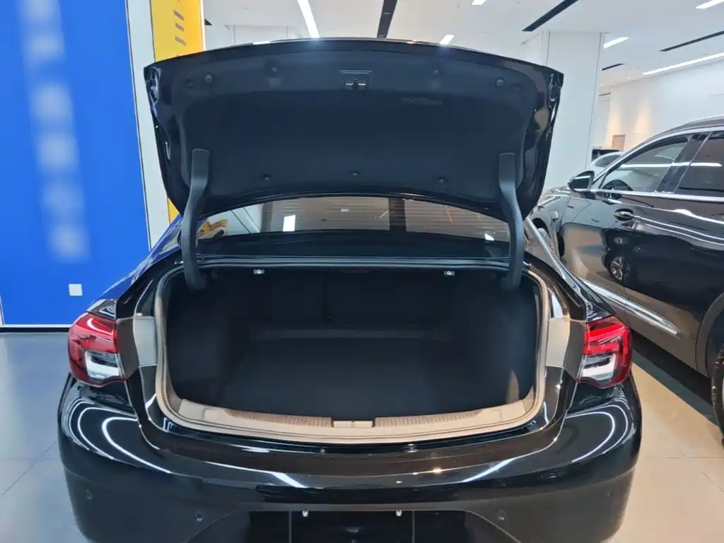 Buick Regal — миниатюра 19