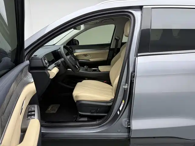 BYD Pro New Energy — миниатюра 13