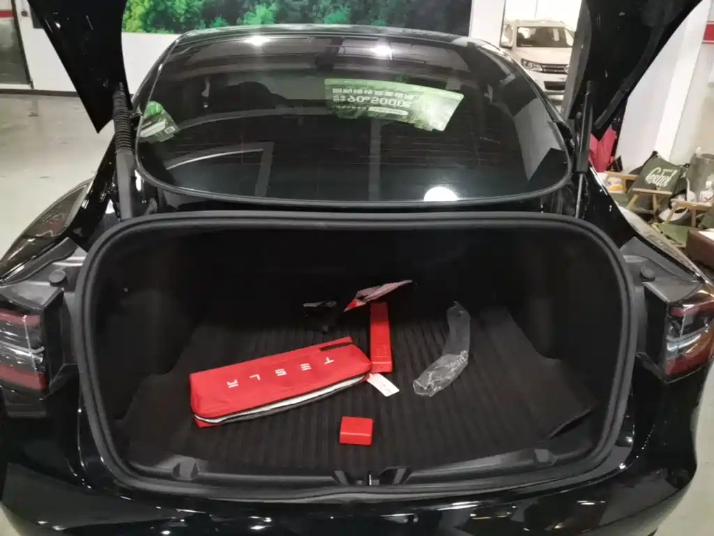 Tesla Model 3 — миниатюра 19