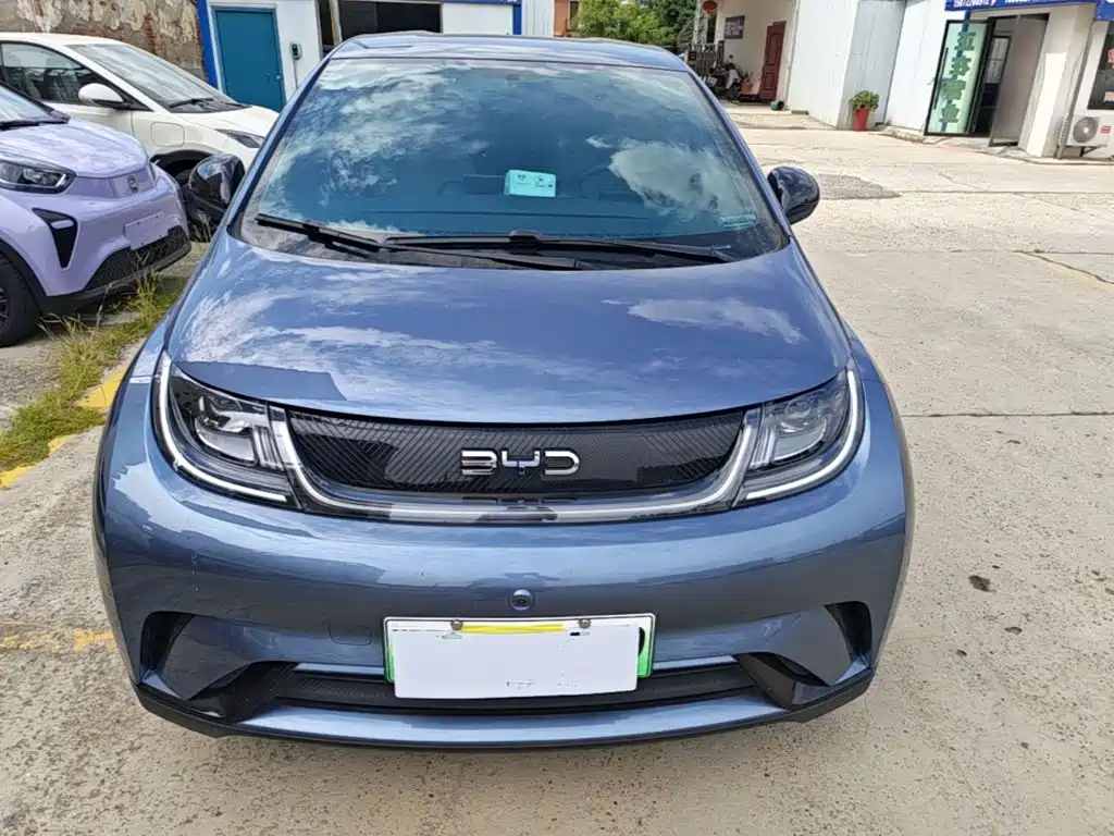 BYD Dolphin — миниатюра 3