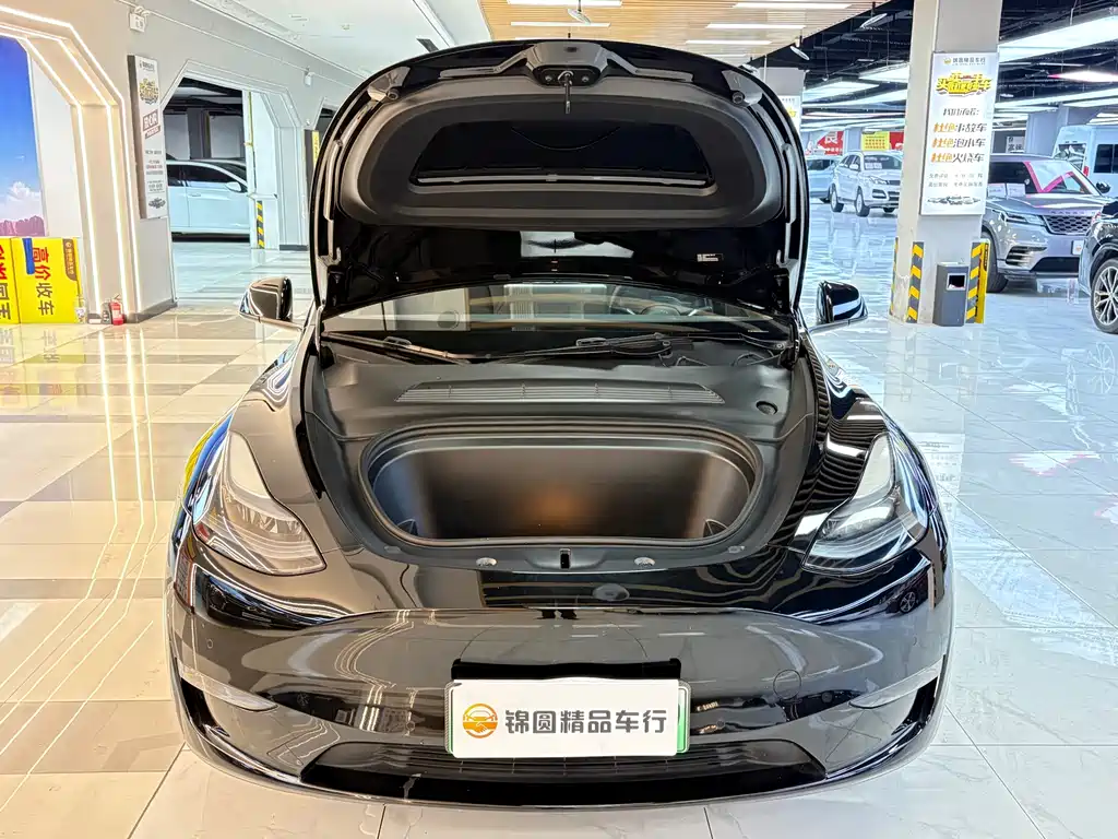 Tesla Model Y — миниатюра 20
