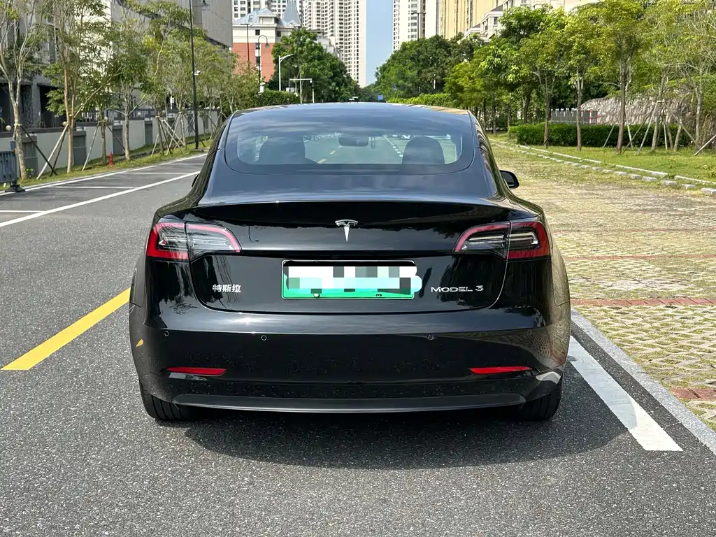 Tesla Model 3 — миниатюра 8
