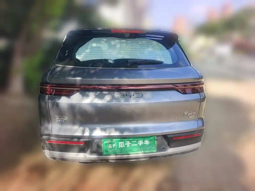 BYD Pro New Energy — миниатюра 3