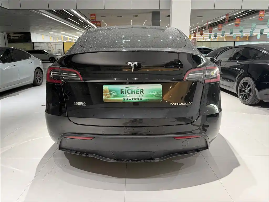 Tesla Model Y — миниатюра 4