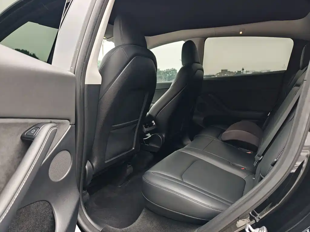 Tesla Model Y — миниатюра 7