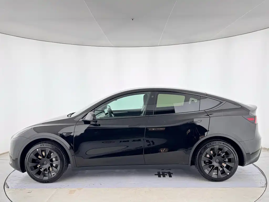 Tesla Model Y — миниатюра 3