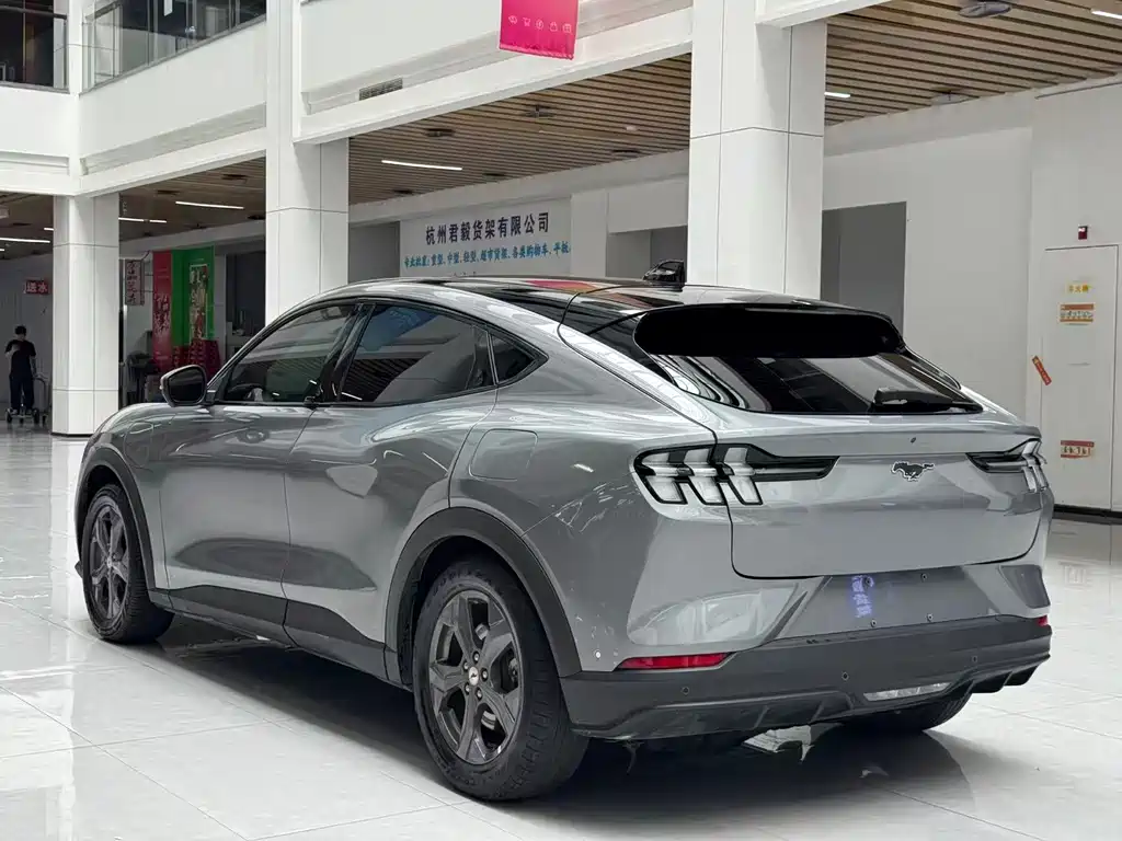 Ford Mustang Mach-E — миниатюра 7
