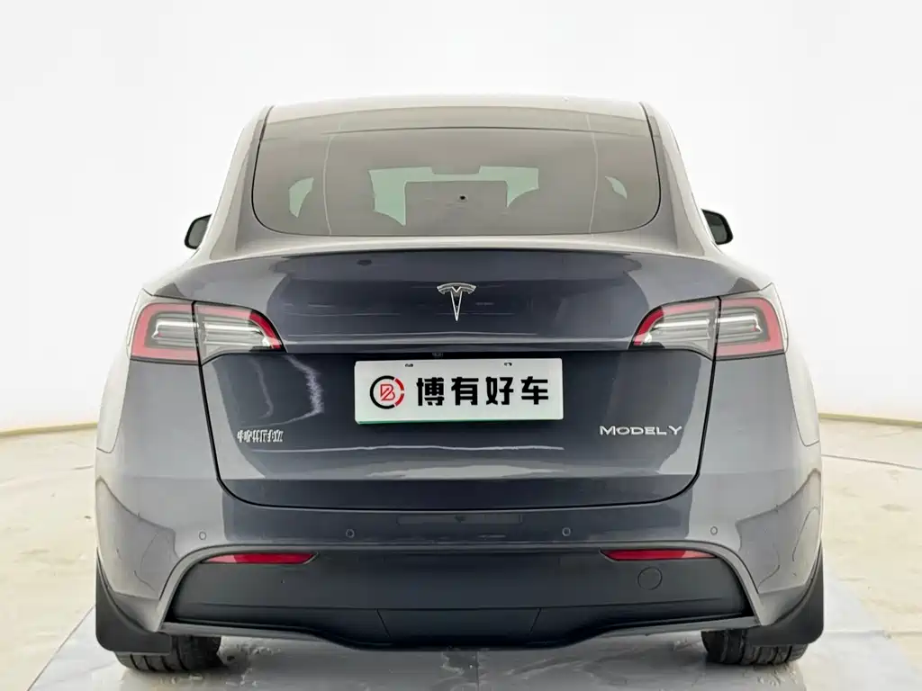 Tesla Model Y — миниатюра 12
