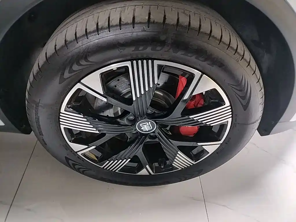 BYD Tang New Energy — миниатюра 12