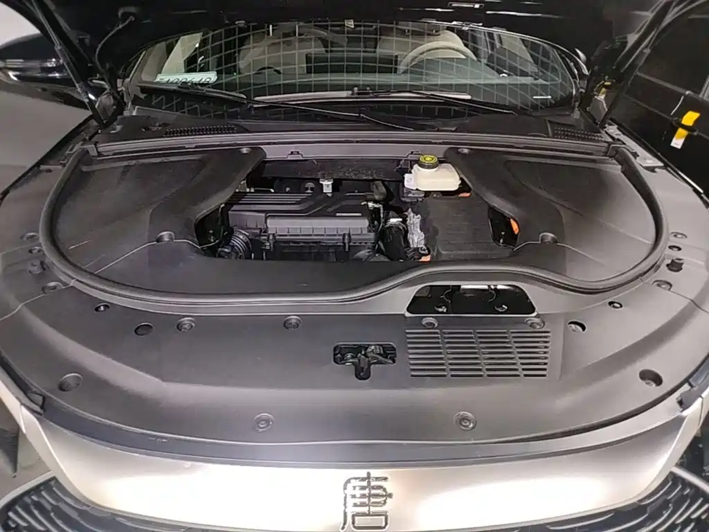 BYD Tang New Energy — миниатюра 25