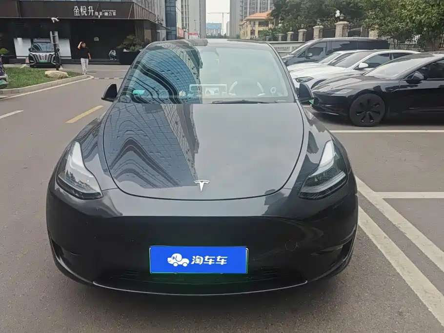 Tesla Model Y — миниатюра 2