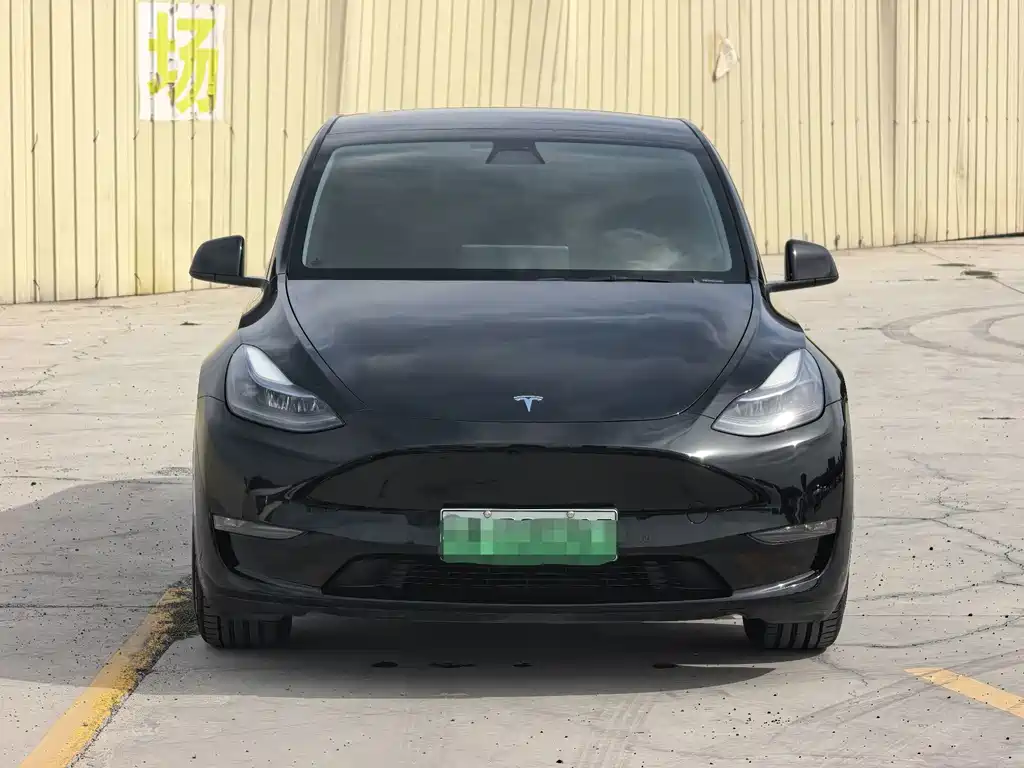 Tesla Model Y — миниатюра 2