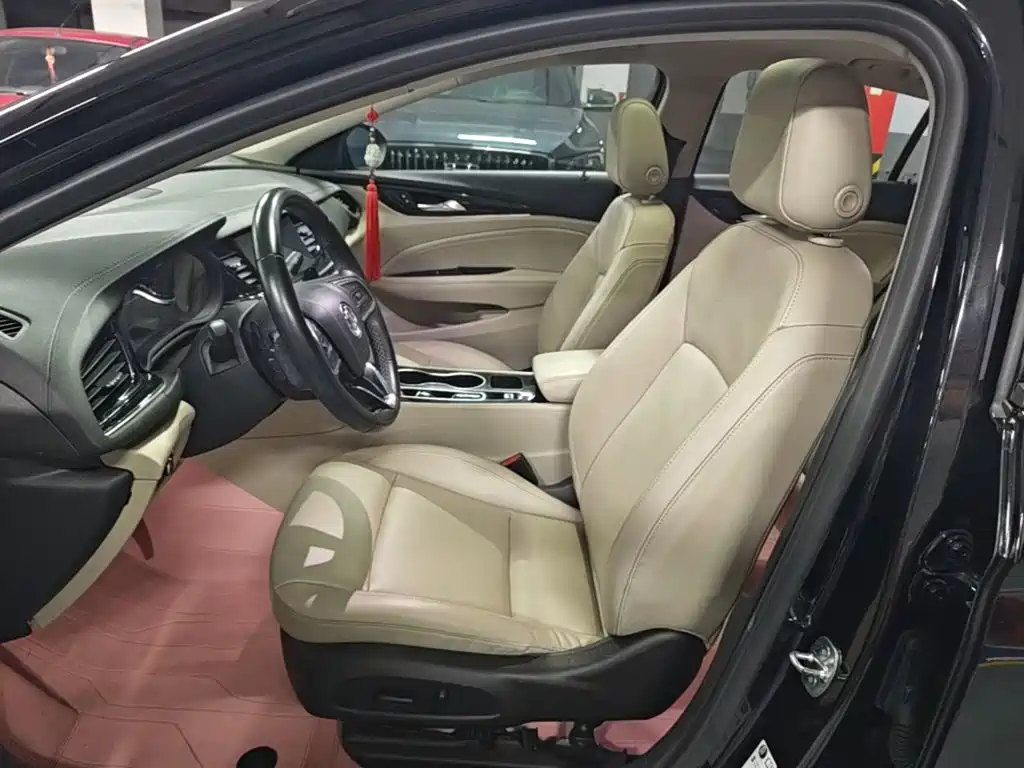 Buick Regal — миниатюра 15