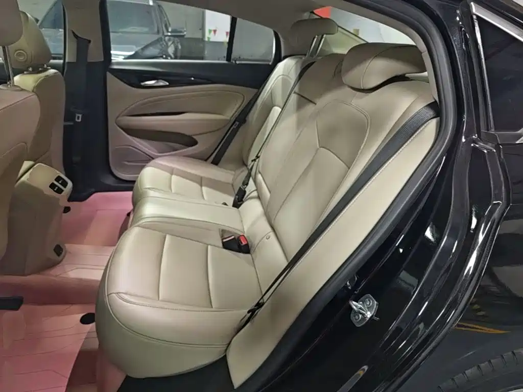 Buick Regal — миниатюра 17