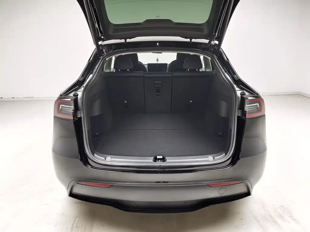 Tesla Model Y — миниатюра 10