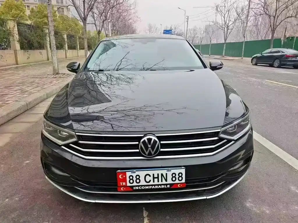 Volkswagen Magotan 2020 330TSI DSG Luxury
