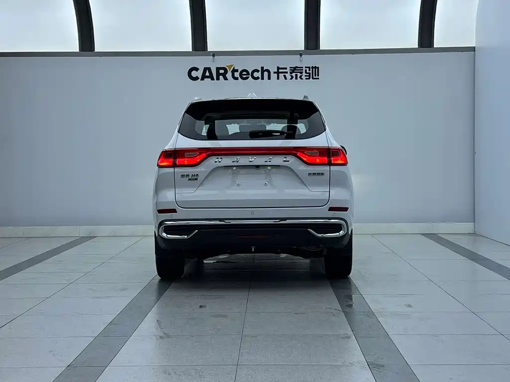 Haval M6 PLUS 1.5T DCT Liuyan Co-Branded Edition, фото 5