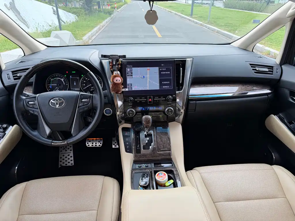 Toyota Alphard — миниатюра 16